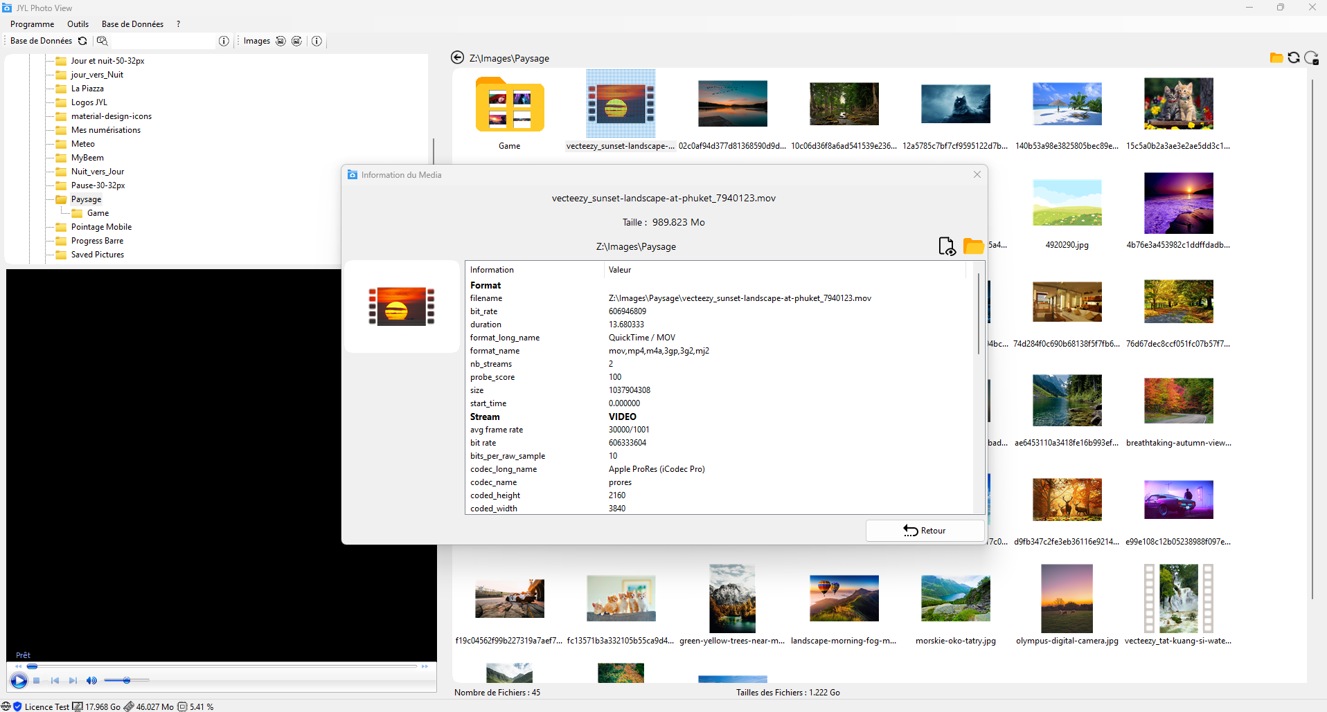סקירה כללית
